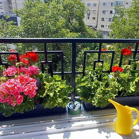33 Coquette Apartment บายามาเร ภายนอก รูปภาพ